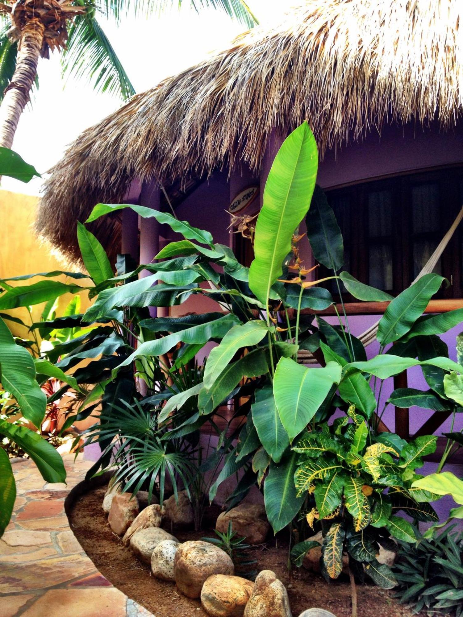 One Love Hostal Puerto Escondido Puerto Escondido  Room photo